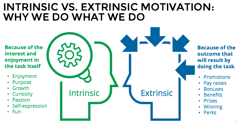 image explaining intrinsic vs extrinsic